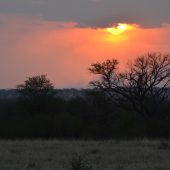  The Serengeti, TZ